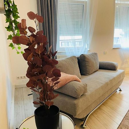 Wohnung Im Zentrum Von 알브쉬타트 외부 사진
