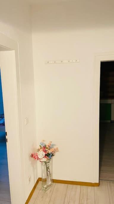 Wohnung Im Zentrum Von 알브쉬타트 외부 사진